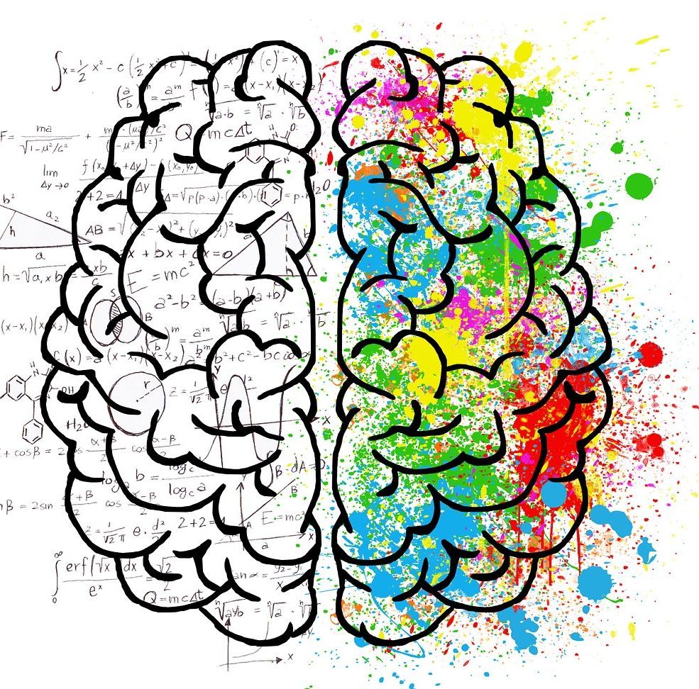 brain, mind, psychology-2062057.jpg